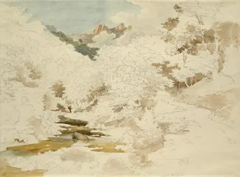 Bois près de Massa