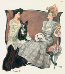 Gottseidank, Berlin, Pflanze, 1908