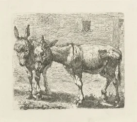 Deux ânes