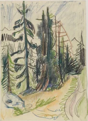 Sapin de montagne et chemin