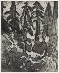 forêt de montagne