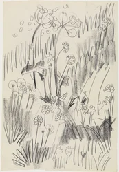 prairie fleurie
