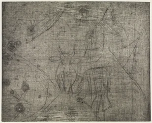 Des vaches au bord du chemin ; à l