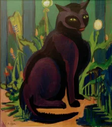Chat noir (chat Bobby)