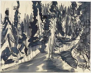Forêt de sapins (étude de forêt de montagne)