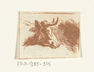 Tête de vache tournée vers la droite