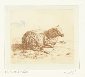 Mouton couché
