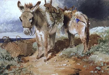 Ânes, 1855