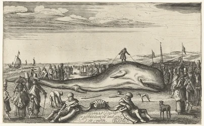 Cachalot échoué sur la plage de Noordwijk, 1614
