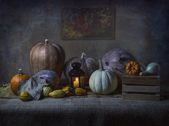 Citrouilles d