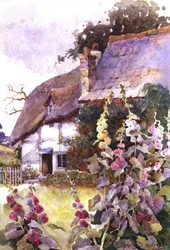 Rose Trémière Devant un Cottage au Toit de Chaume