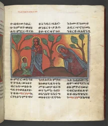 Scène de la vie de la Vierge Marie, de 