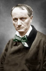 Charles Baudelaire, vers 1866