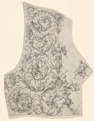 La plaque dorsale d