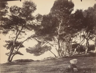 Cannes, Ile Saint Honorat,c. 1899-1927 (photo)