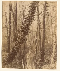 La Bièvre, boulevard d