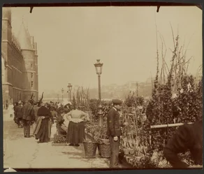 [Le Marché aux Fleurs]