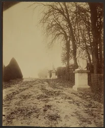 Versailles, le Parc (Avenue dans le parc de Versailles)