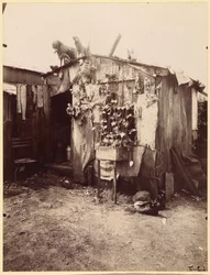 Maison d