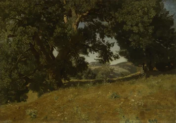 Paysage