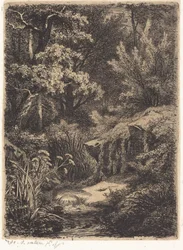 Le petit ruisseau