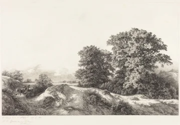 Chênes dans les Vaux de Cernay