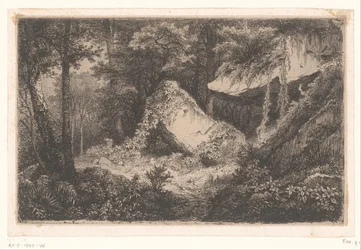 Rochers couverts de végétation dans une forêt (Suite de 8 eaux-fortes gravées sur nature près Dampierre par Eug. Bléry)