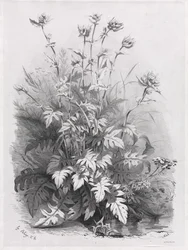 Groupes de diverses plantes dessinées d