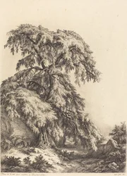 Genévrier, 1840