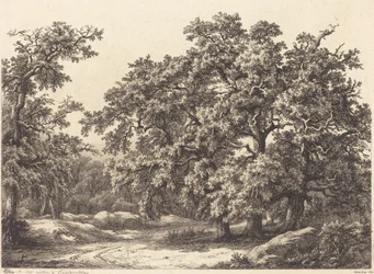Chênes