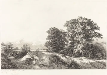 Chênes dans les Vaux de Cernay