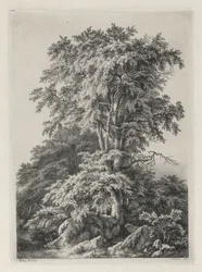 Études dessinées et gravées d