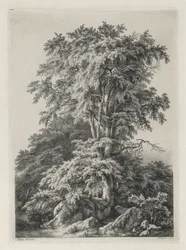Études dessinées et gravées d