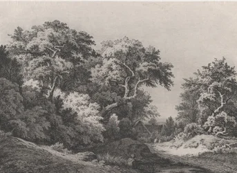 Le bord des bois, près de Rambouillet