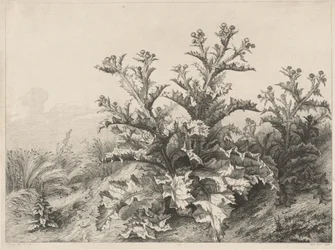 Le Grand Chardon, 1843