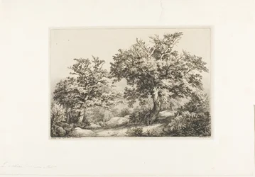 Les Deux Chênes, Fontainebleau