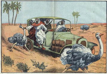 Chasse moderne : dans le désert arabique, des Bédouins riches conduisent de jeunes Autrichiens pour les capturer vivants. Illustration de Damblans. Dans « Le Pèlerin » du 16 avril