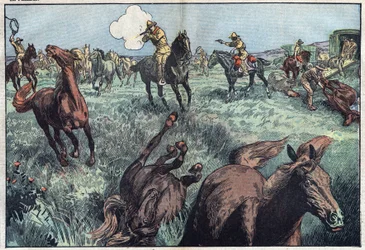 Les chevaux sauvages sont abattus aux États-Unis. Illustration de Damblans. Dans « Le Pèlerin » du 31 janvier