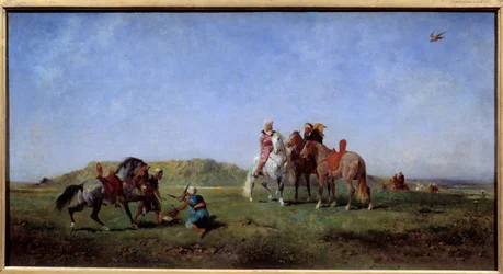 Chasse au faucon en Algérie