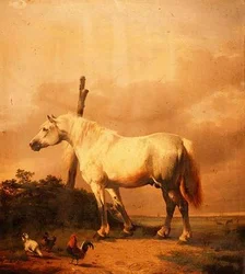 Un cheval de trait avec des volailles dans un paysage étendu