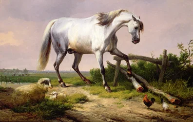 Un étalon gris avec des moutons et des volailles
