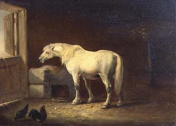 Cheval blanc dans une écurie