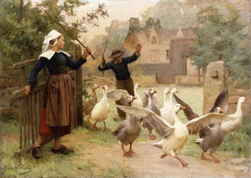 Guidant la Bande