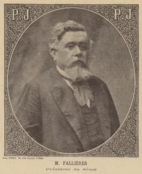 Armand Fallières, Président du Sénat français