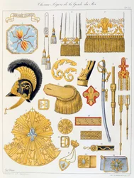 Chevau-Légers de la Garde du Roi, Insigne