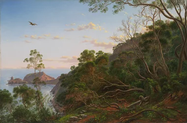 Arbres à thé près de Cape Schanck, Victoria