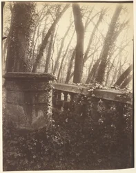Saint-Cloud Park, Paris
