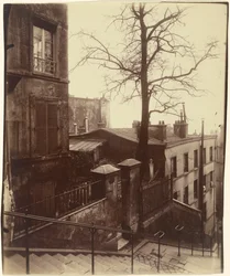 Escalier, Montmartre, 1921