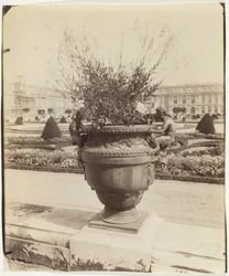 Versailles, Vase par Ballin, 1902