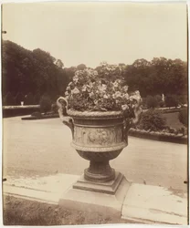 Versailles, Vase par Ballin, 1902
